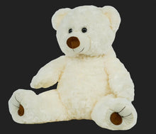 Bear Hug & Chocolate Whispers