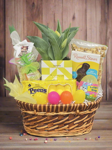 Tulip & Sweets Celebration