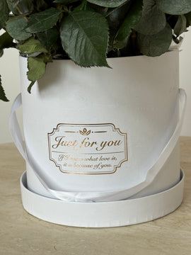 Chic Bloom Box