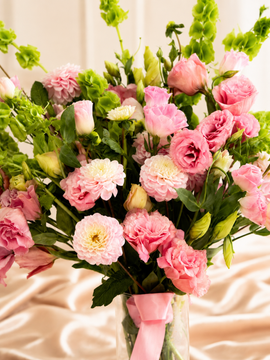Spring Romance