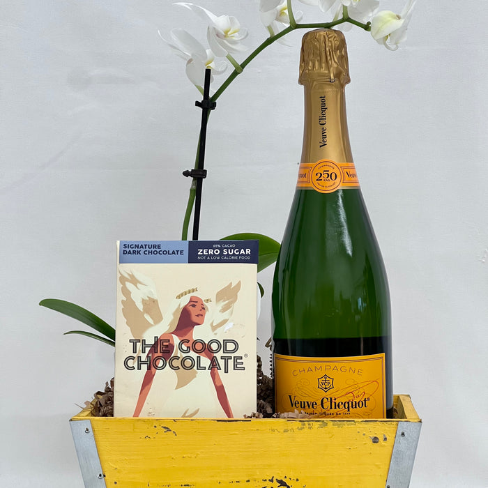 Bubbles, Chocolate & Orchid